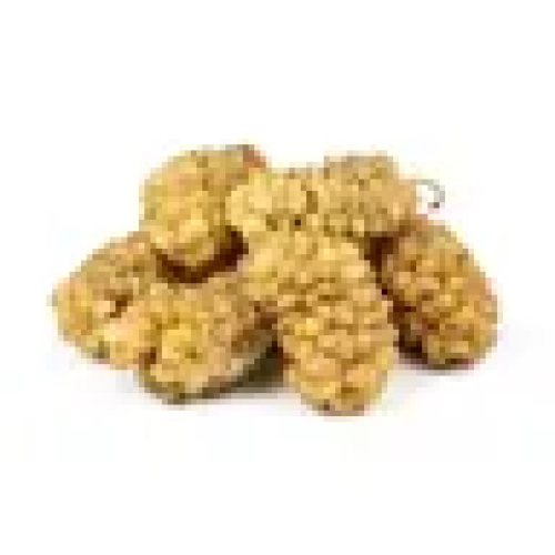Dutlar